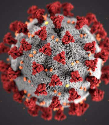 COVID-19: “The Elimination of the Virus Is Always Possible”