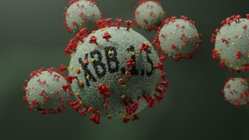 The New XBB.1.5 Variant: What You Need to Know