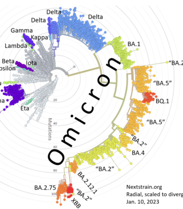 “Common Names” for Notable SARS-CoV-2 Variants: Proposal for a Transparent and Consistent Nicknaming Process to Aid Communication