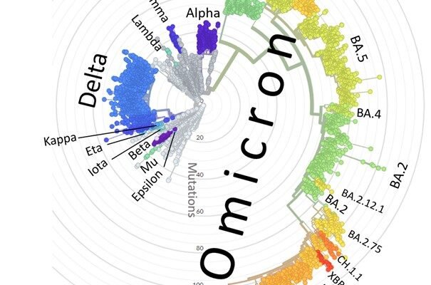 “Common Names” for Notable SARS-CoV-2 Variants: Proposal for a Transparent and Consistent Nicknaming Process to Aid Communication